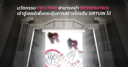 ส่วนผสมหลักใน Fiber X นวัตกรรมการย้อนวัยด้วยการ Detox ระดับเซลล์