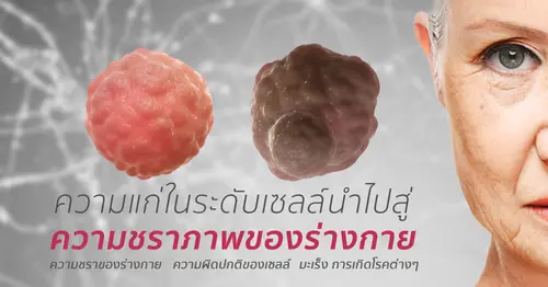 Genomic Detox คืออะไร และทำไมต้อง Genomic Supplement?