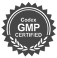 GMP codex GMP codex