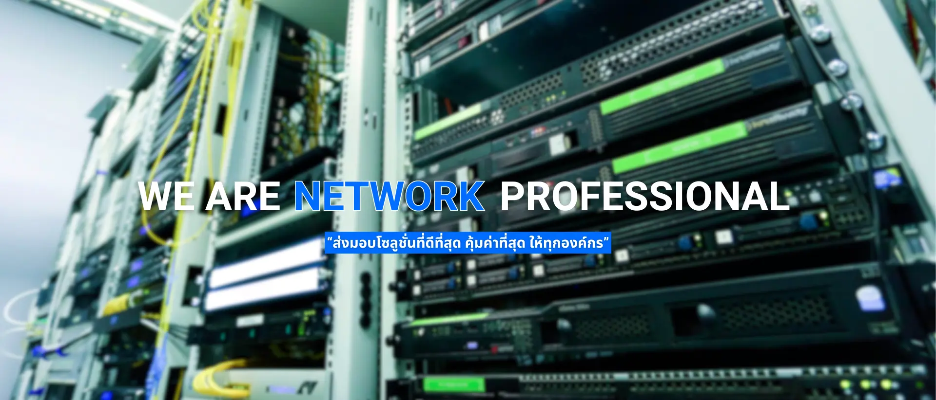 We are Network Professional System