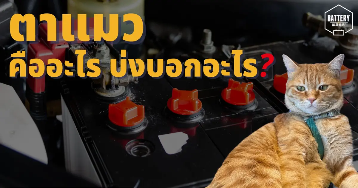 ตาแมวของแบตเตอรี่รถยนต์คืออะไร สามารถบ่งบอกอะไรได้บ้าง?