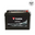 แบตเตอรี่รถยนต์ YUASA 75D31R-SMF