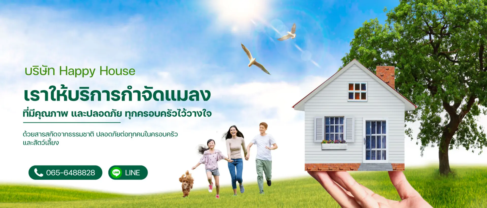 บริการกำจัดแมลง ปลอดภัย ด้วยสารสกัดจากธรรมชาติ