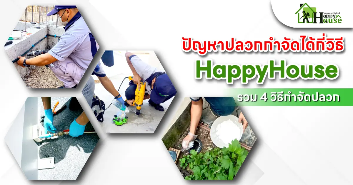 ปัญหาปลวกกำจัดได้กี่วิธี?