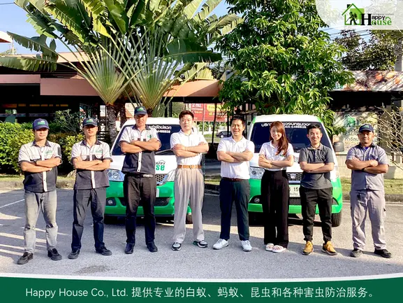 清迈 家家乐除白蚁公司 清迈 家家乐除白蚁公司