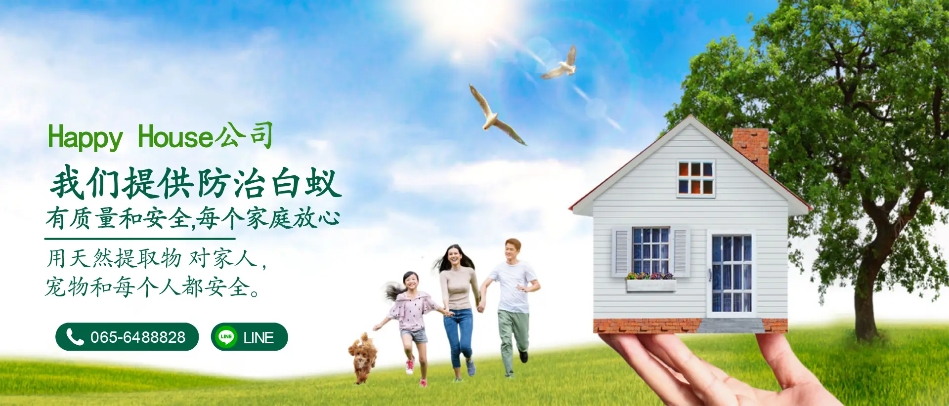 使用天然提取物的安全害虫防治服务
