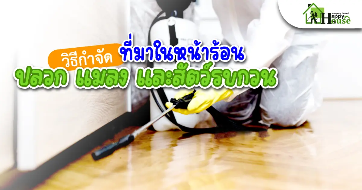 วิธีกำจัดปลวก แมลงและสัตว์รบกวนที่มาในหน้าร้อน