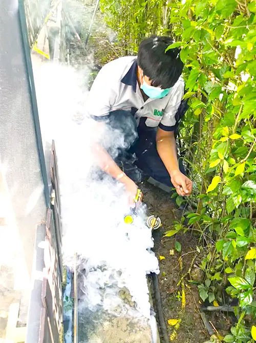 除-防治蟑螂