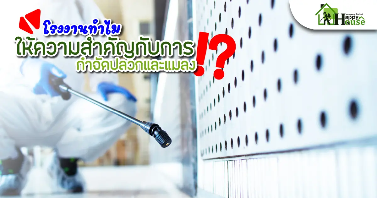 โรงงานทำไมให้ความสำคัญกับการกำจัดปลวกและแมลง