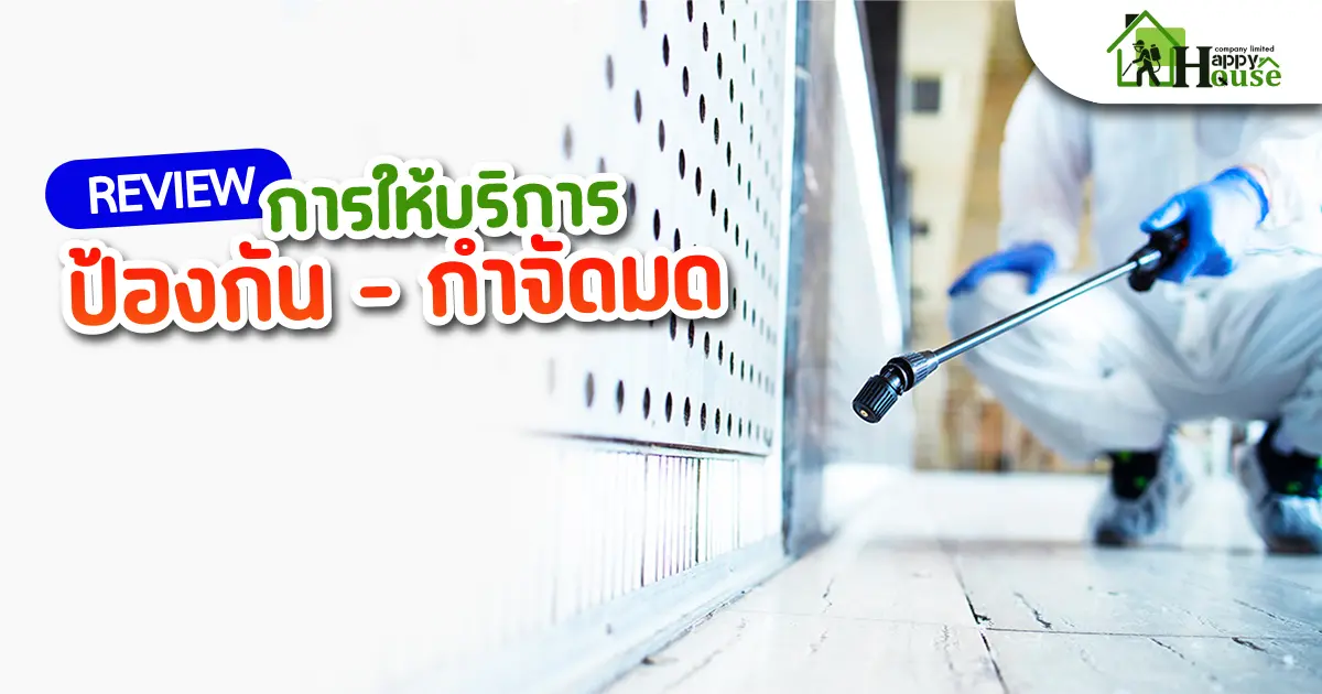 รีวิวการบริการป้องกัน-กำจัดมด