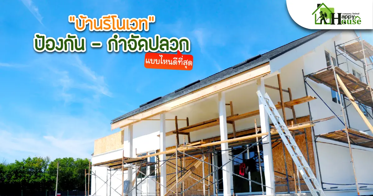 "บ้านรีโนเวท"  ป้องกัน - กำจัดปลวก แบบไหนดีที่สุด