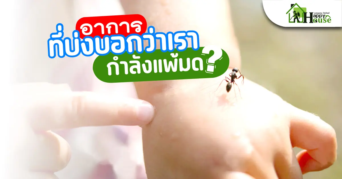 อากาเราบ่งบอกว่าเรา กำลังแพ้มด