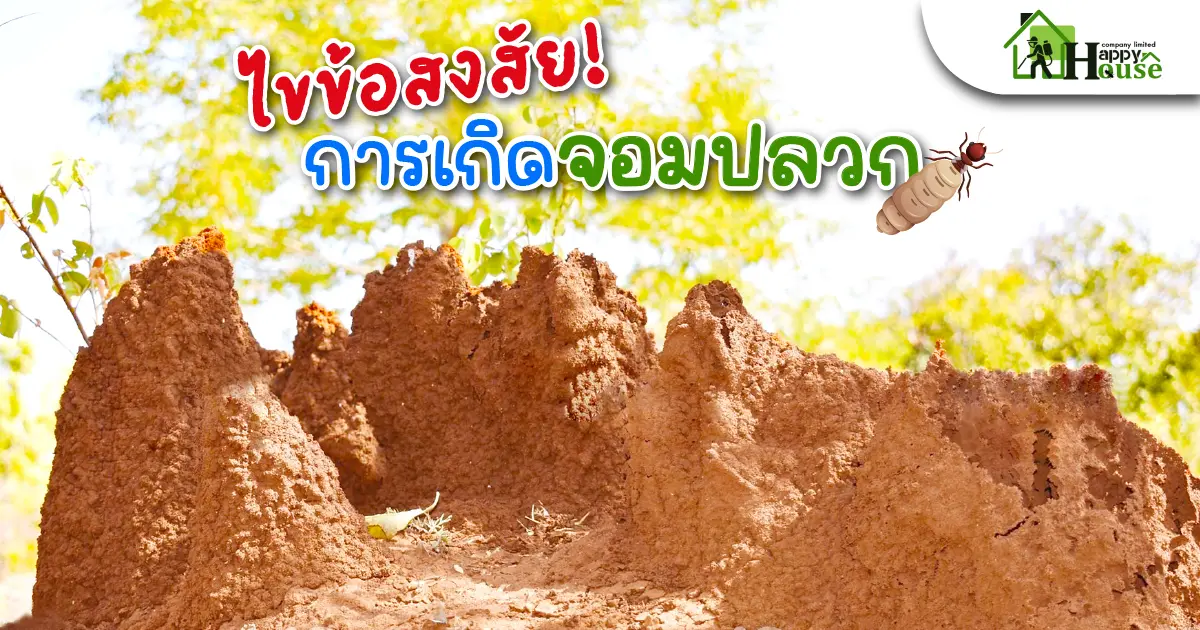 ไขข้อสงสัย การเกิดจอมปลวก