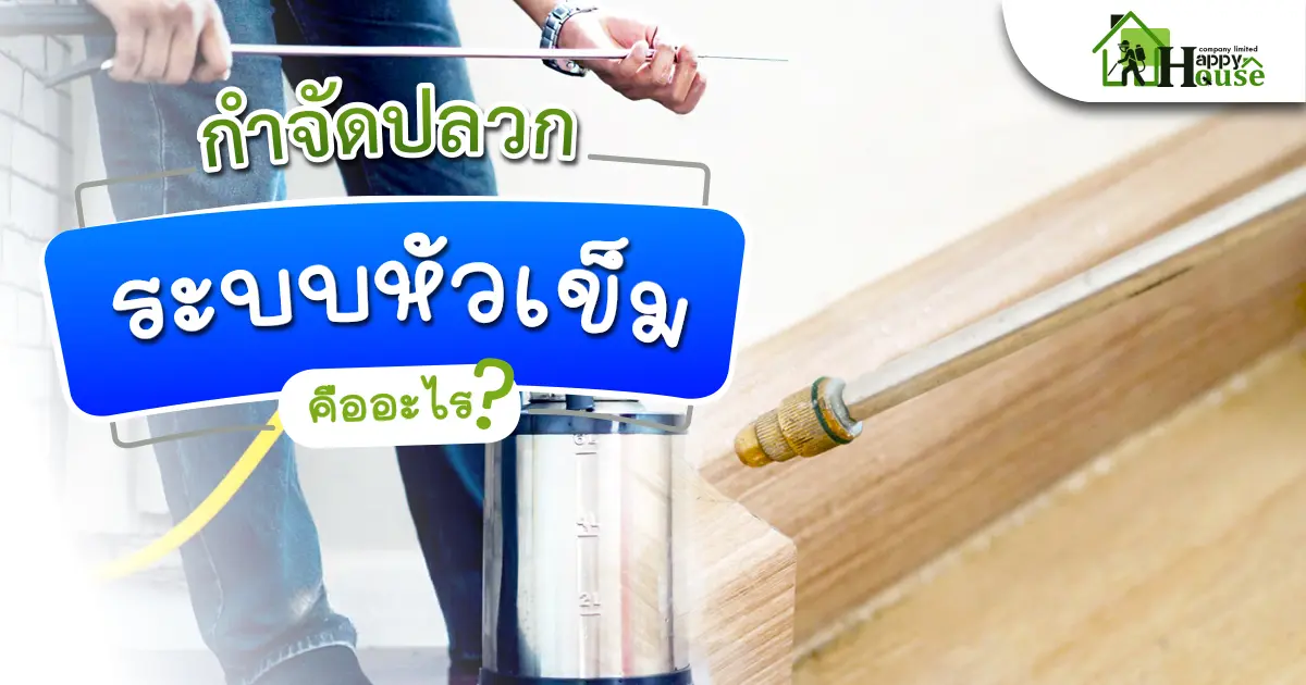กำจัดปลวกระบบหัวเข็มคืออะไร?