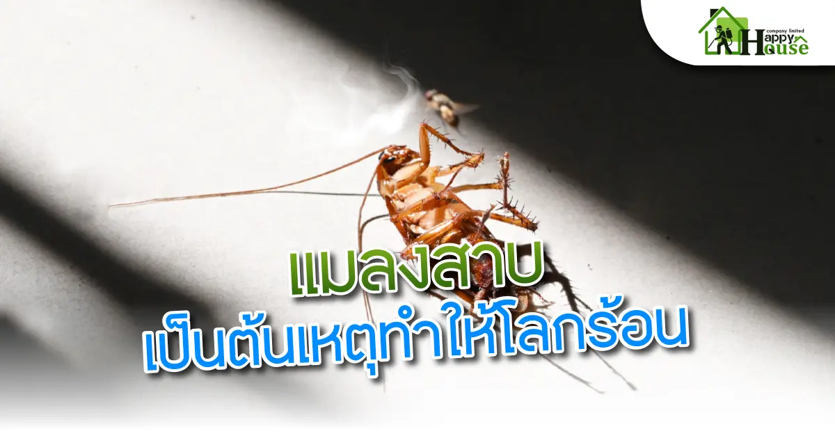 เเมลงสาบเป็นต้นเหตุทำให้โลกร้อน