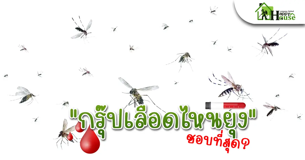 กรุ๊ปเลือดไหนยุงชอบที่สุด?