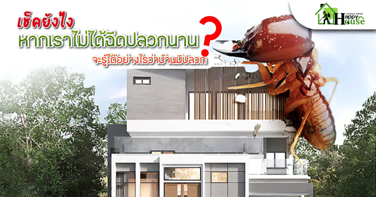 เช็คยังไง หากเราไม่ได้ฉีดปลวกนานจะรู้ได้อย่างไรว่ามีปลวก?