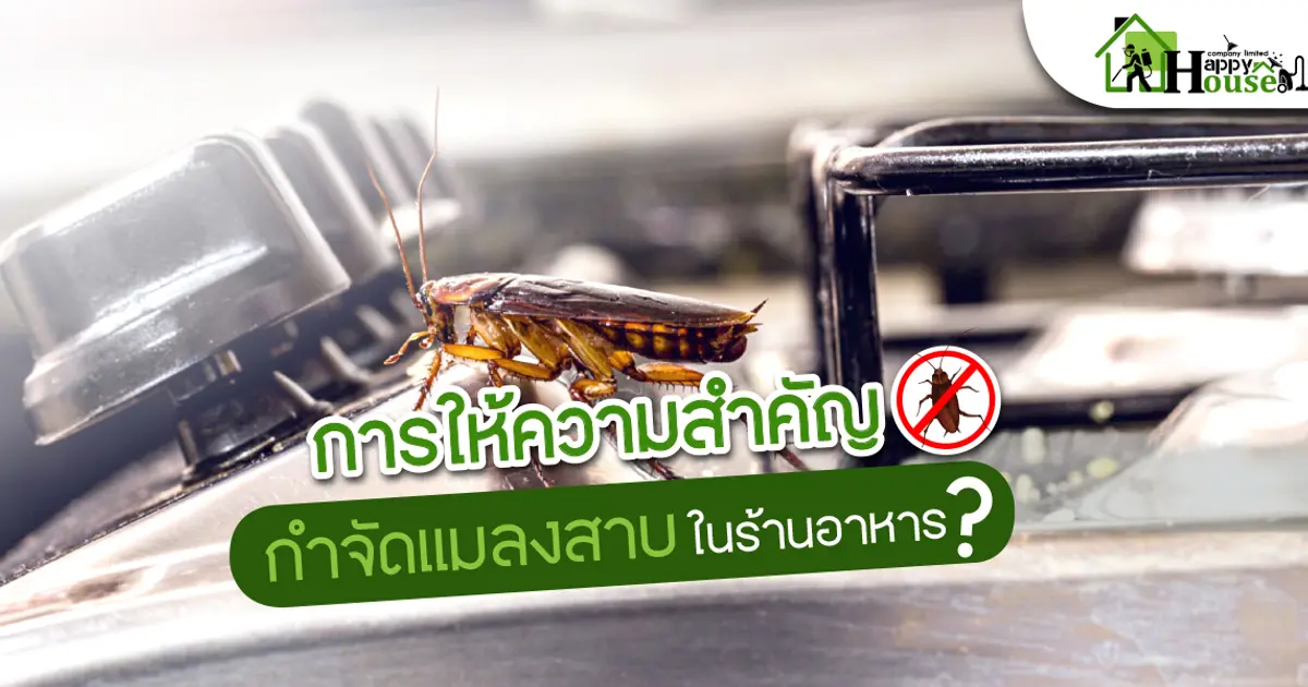 การให้ความสำคัญกำจัดเเมลงสาบในร้านอาหาร
