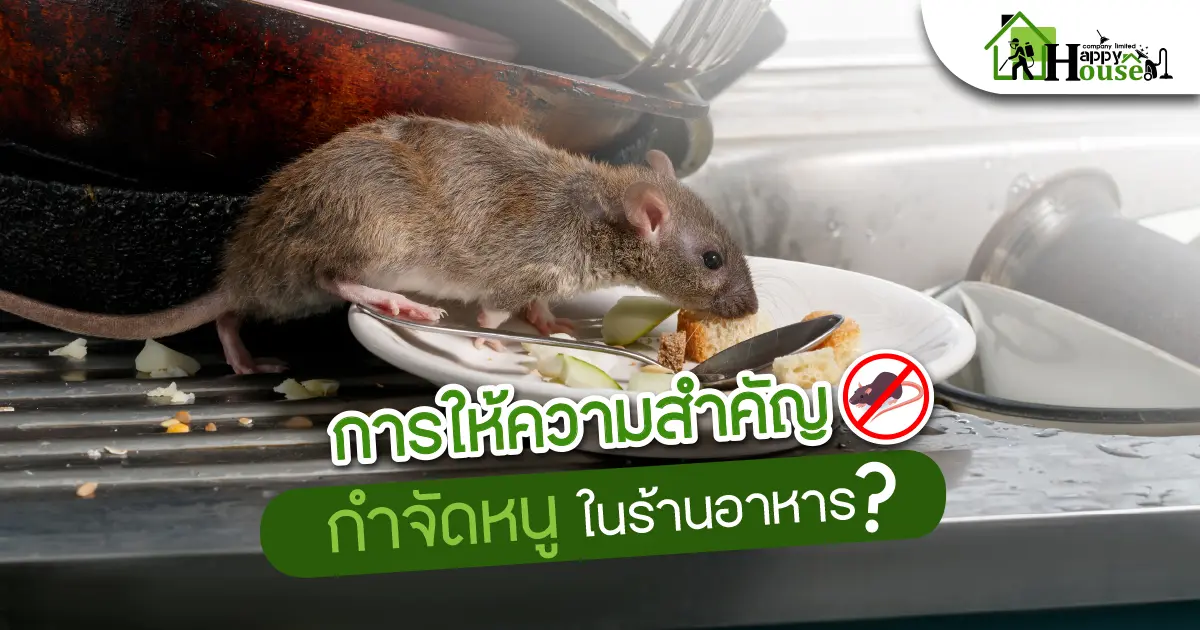 การให้ความสำคัญการกำจัดหนูในร้านอาหาร