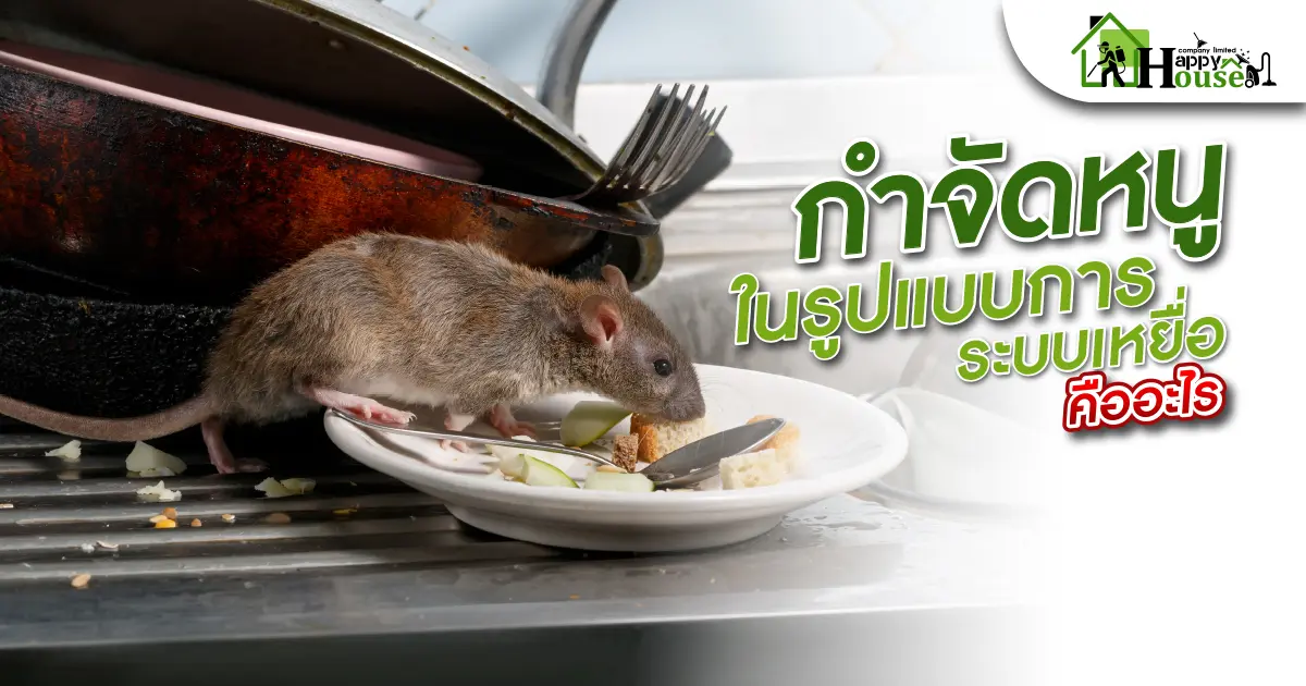 กำจัดหนูในรูปแบบระบบเหยื่อคืออะไร?