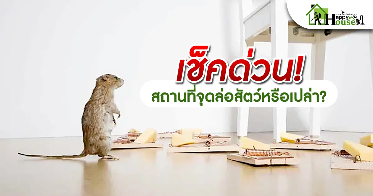 เช็คด่วน ! สถานที่จุดล่อสัตว์หรือเปล่า?