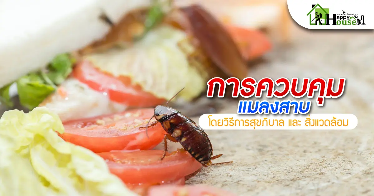 การควบคุมเเมลงสาบโดยวิธีการสุขภิบาลเเละสิ่งเเวดล้อม