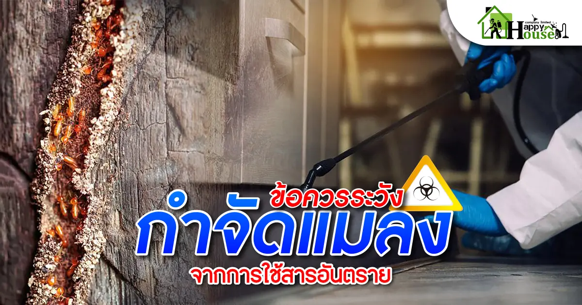 ข้อควรระวังกำจัดเเมลงจากการใช้สารอันตราย