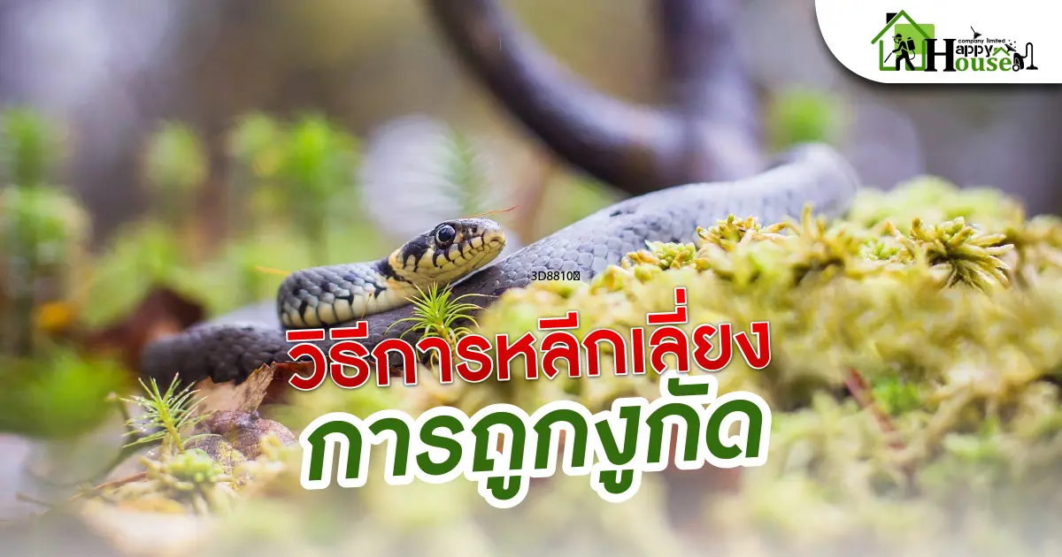 วิธีการหลีกเลี่ยงการถูกงูกัด