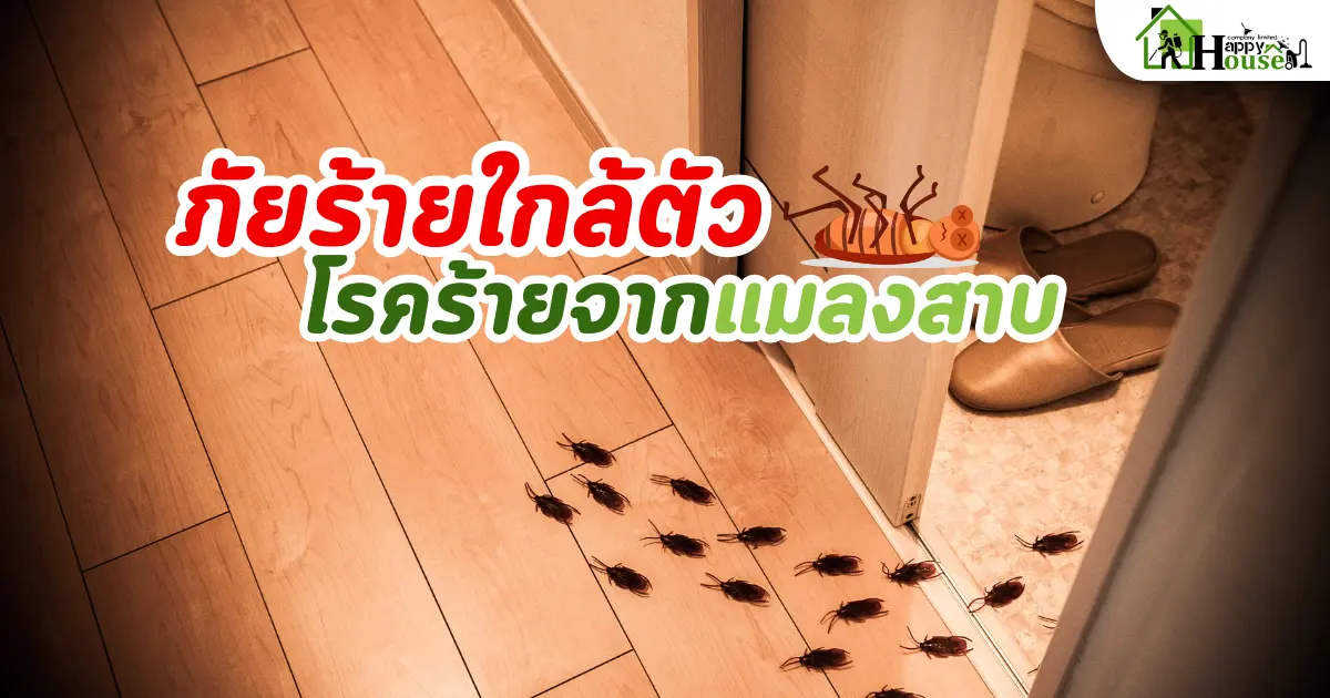 ภัยร้ายใกล้ตัว โรคร้ายจากแมลงสาบ