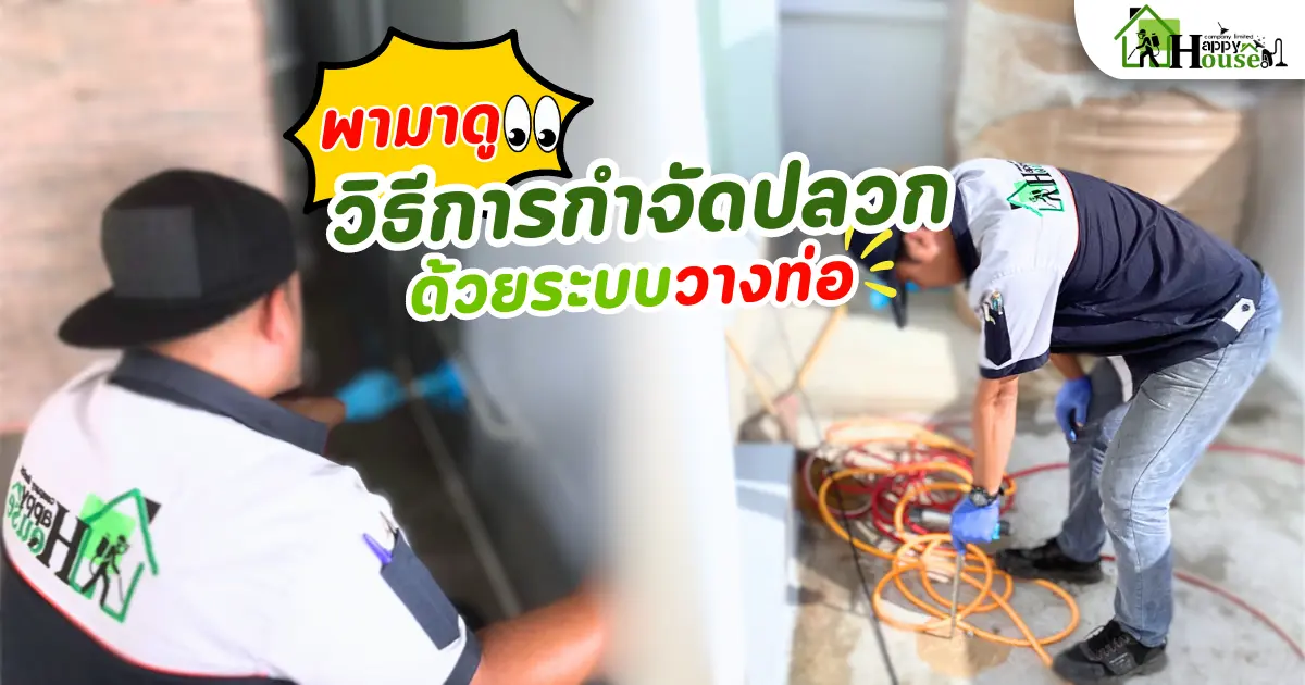 พามาดู วิธีการกำจัดปลวก ด้วยระบบวางท่อ