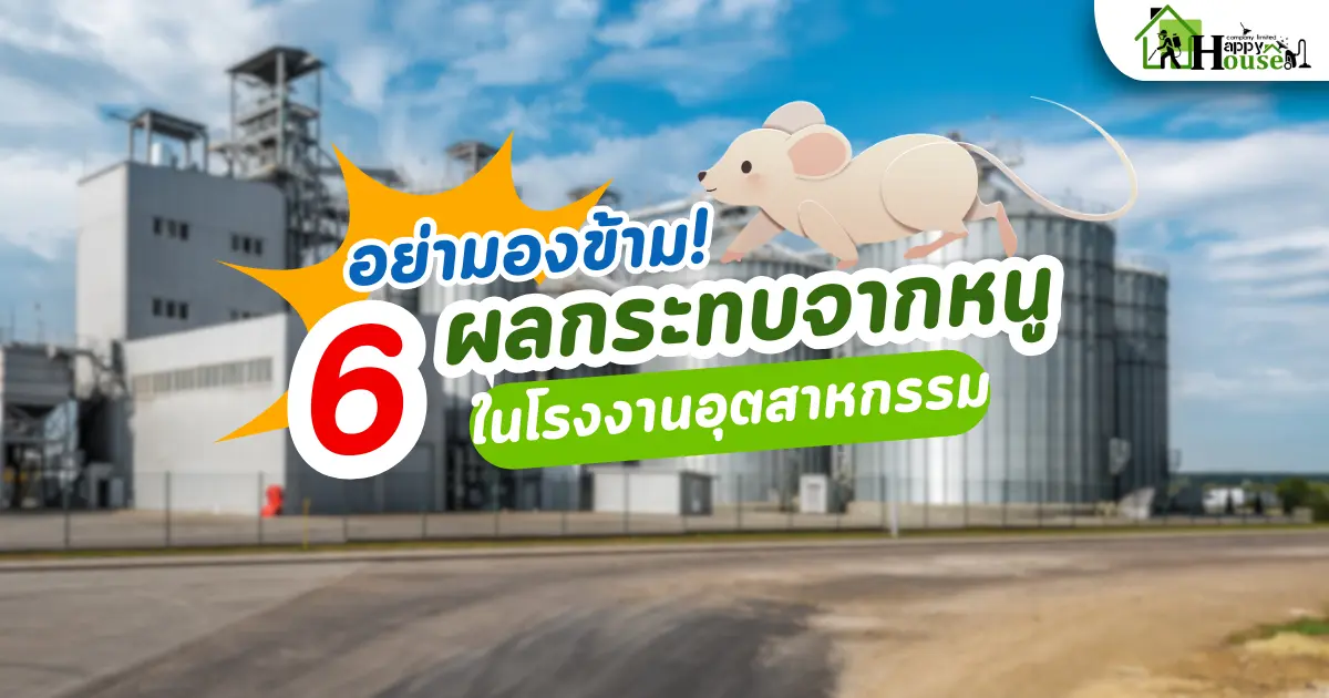  6 ผลกระทบจากหนูในโรงงานอุตสาหกรรม