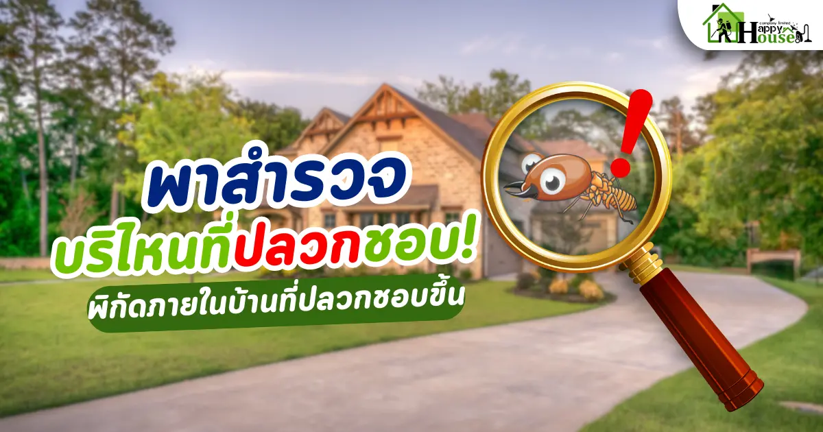 สำรวจพิกัดบริเวรบ้านที่ปลวกมักขึ้น พร้อมวิธีป้องกันและกำจัดปลวก