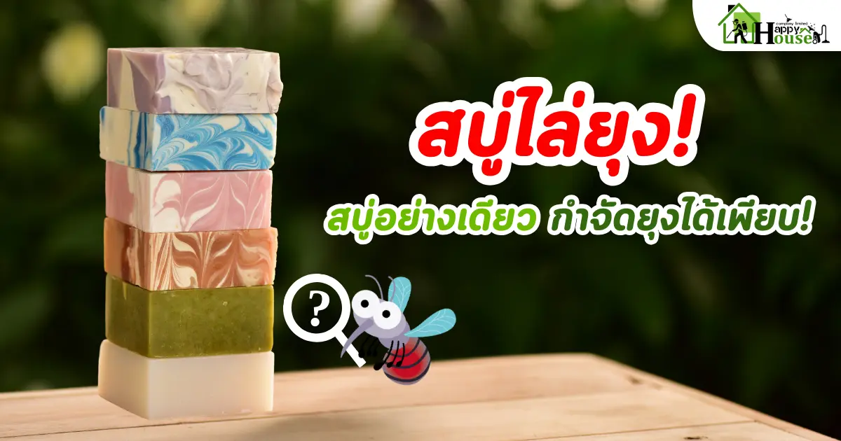 สบู่ไล่ยุง! สบู่อย่างเดียว กำจัดยุงได้เพียบ!