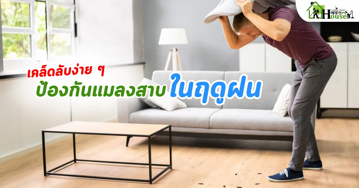 วิธีป้องกันแมลงสาบเข้าบ้านในฤดูฝน | เคล็ดลับง่าย ๆ ป้องกันแมลงสาบ