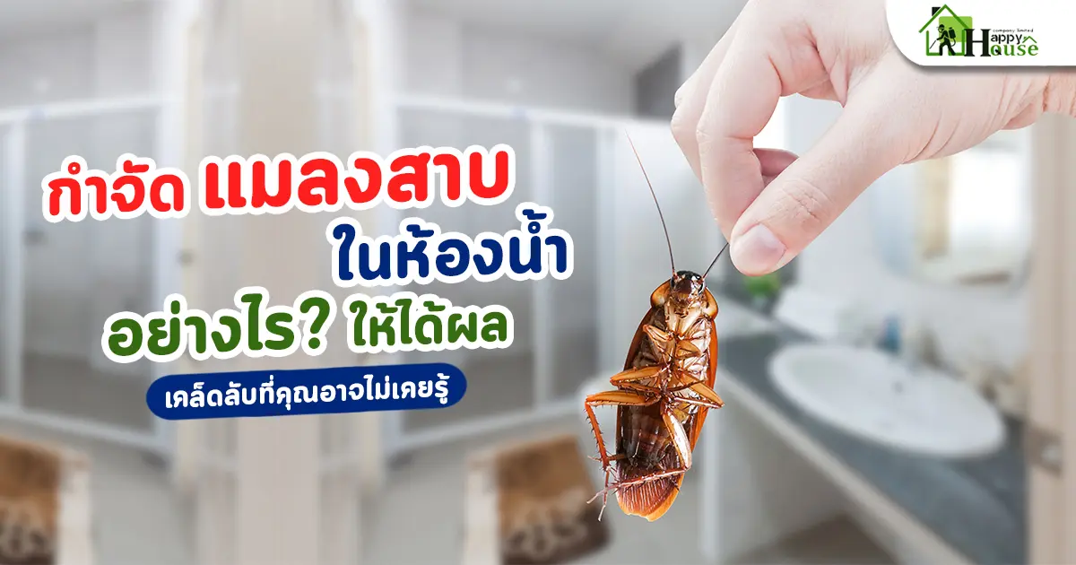 กำจัดแมลงสาบในห้องน้ำอย่างไรให้ได้ผล? เคล็ดลับที่คุณอาจไม่เคยรู้