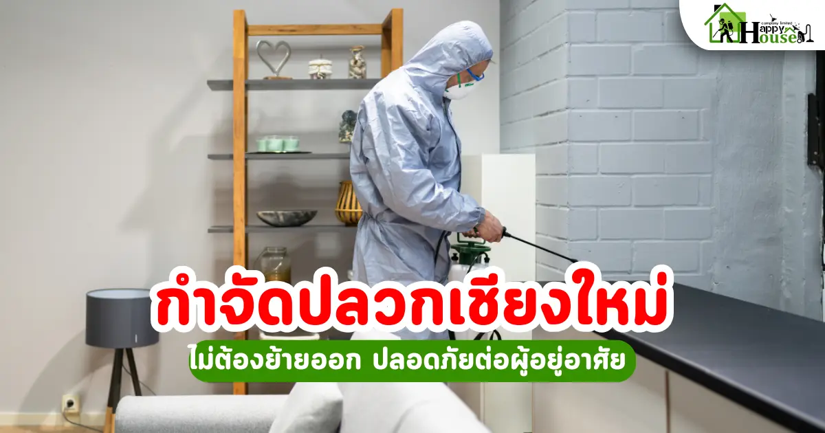 กำจัดปลวกเชียงใหม่ ไม่ต้องย้ายออก ปลอดภัยต่อผู้อยู่อาศัย เหมาะกับบ้านเชียงใหม่