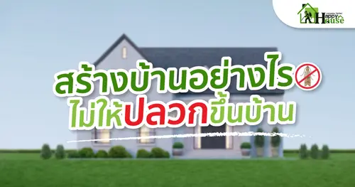 สร้างบ้านอย่างไรไม่ให้ปลวกขึ้นบ้าน