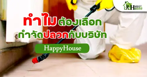 ทำไมต้องเลือก กำจัดปลวกกับบริษัท Happy House