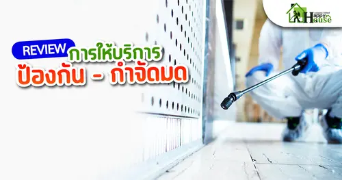 รีวิวการบริการป้องกัน-กำจัดมด