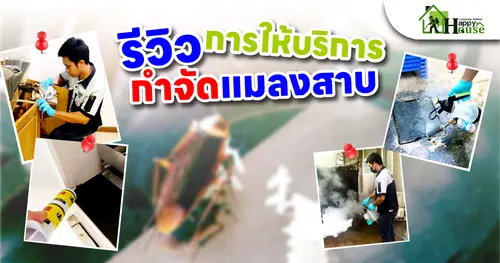 รีวิวการให้บริการกำจัดเเมลงสาบ
