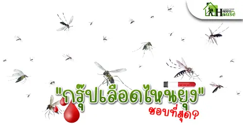 กรุ๊ปเลือดไหนยุงชอบที่สุด?