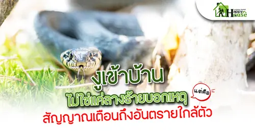 งูเข้าบ้านไม่ใช่เเค่รางร้ายบอกเหตุ เเต่คือสัญญาณเตือนอันตรายใกล้ตัว