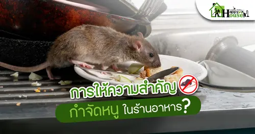 การให้ความสำคัญการกำจัดหนูในร้านอาหาร