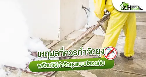 เหตุผลที่ควรกำจัดยุง พร้อมวิธีกำจัดยุงแบบปลอดภัย