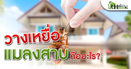 วางเหยื่อแมลงสาบคืออะไร?