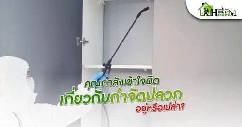 คุณกำลังเข้าใจผิด  เกี่ยวกับการกำจัดปลวกอยู่หรือเปล่า?