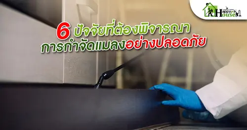 6 ปัจจัยที่ต้องพิจารณาเพื่อการกำจัดแมลงอย่างปลอดภัย
