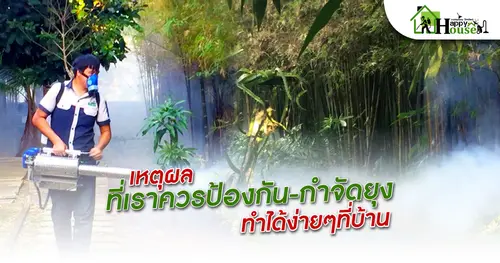 เหตุผลที่เราควรป้องกัน-กำจัดยุงทำได้ง่ายๆที่บ้าน