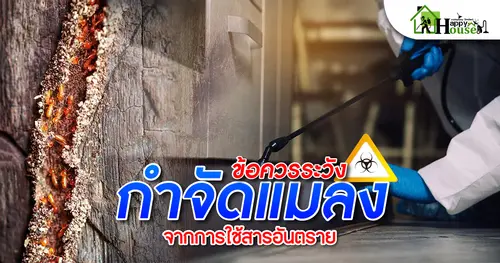 ข้อควรระวังกำจัดเเมลงจากการใช้สารอันตราย