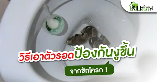 วิธีเอาตัวรอดป้องกันงูขึ้นจากชักโครก
